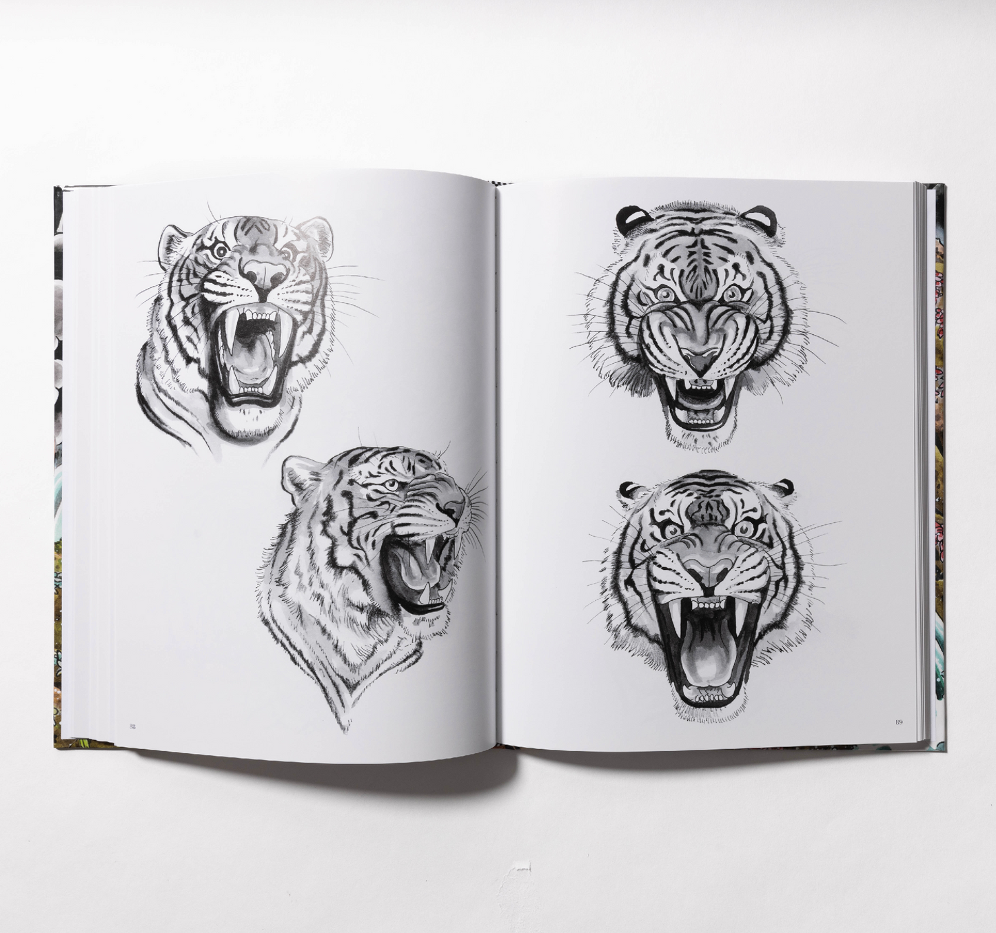 Tim Lehi - The Tiger Book - Softcover