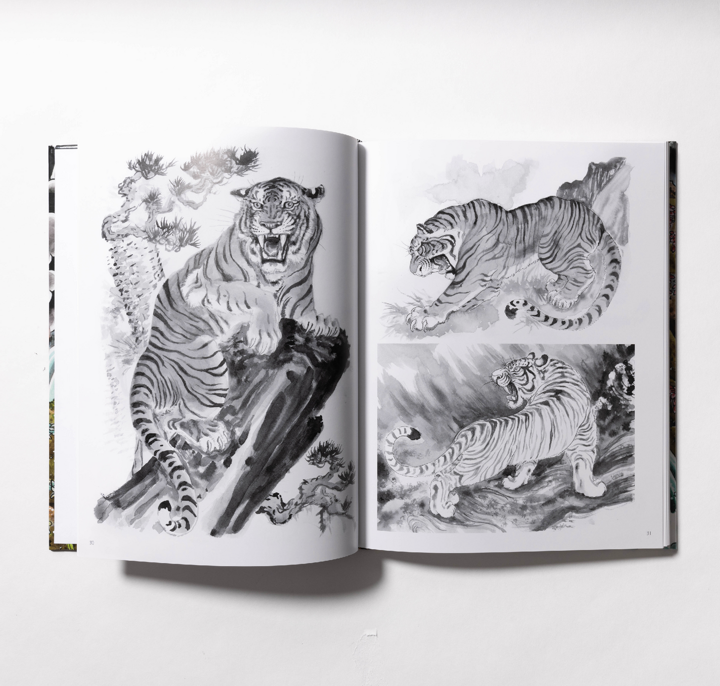 Tim Lehi - The Tiger Book - Softcover