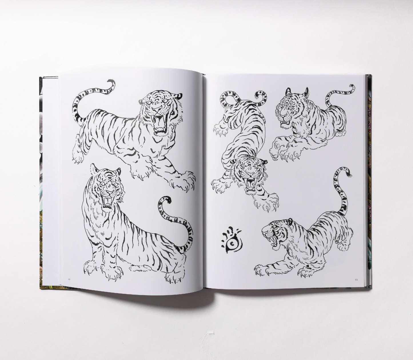 Tim Lehi - The Tiger Book - Softcover